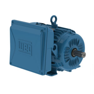 MOTOR WEQ 1/2 HP 1800 R.P.M TRIFASICO 220/380V