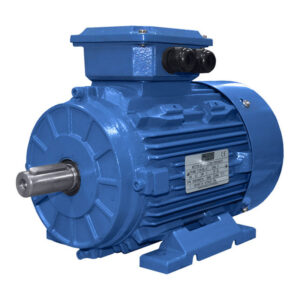 MOTOR-WEQ-1-3-HP-1800-R.P.M.BIFASICO-220-120V
