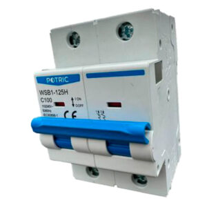 BREAKER P/RIEL 2*125 10KA